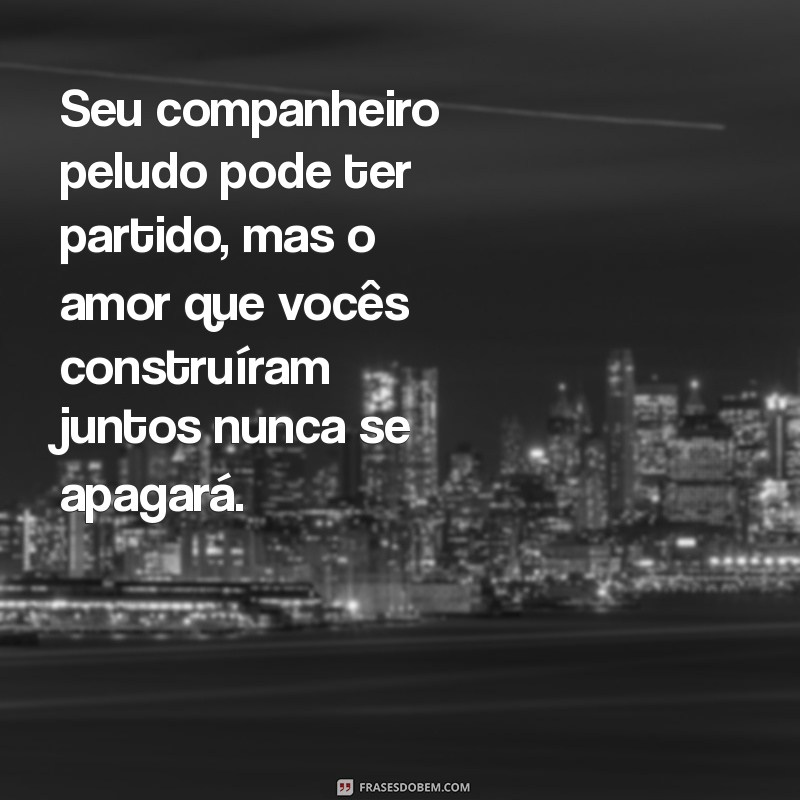 Como Confortar o Coração: Mensagens de Apoio para Quem Perdeu um Animal de Estimação 