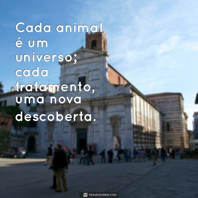 Frases Motivacionais para Veterinários: Inspire-se e Transforme Vidas 