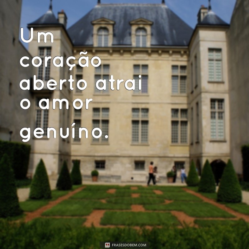 Frases de Motivação Amorosa: Inspire-se com Palavras que Transformam Relacionamentos 