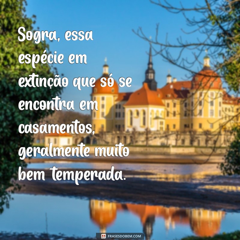 As Melhores Frases Engraçadas sobre Sogras para Compartilhar e Rir 