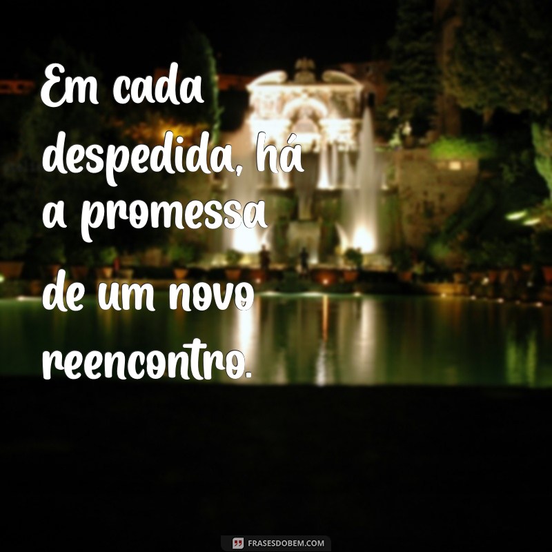 Frases e Versos Inspiradores: Encontre a Palavra Perfeita para Cada Momento 