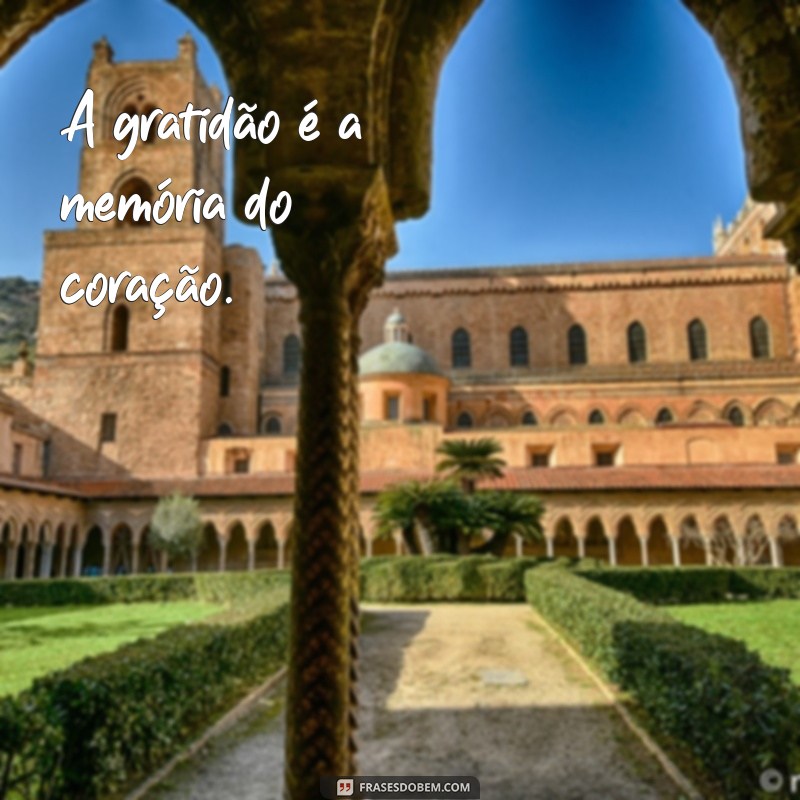 Frases Inspiradoras de Agradecimento para Valorizar Momentos Especiais 