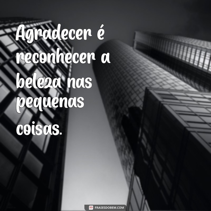 Frases Inspiradoras de Agradecimento para Valorizar Momentos Especiais 