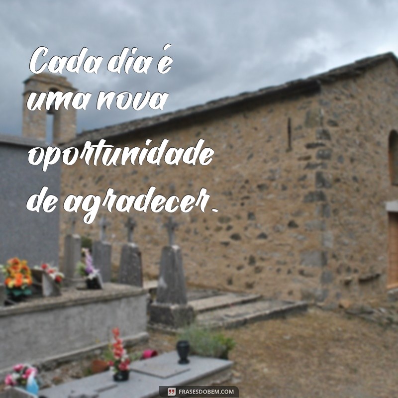 Frases Inspiradoras de Agradecimento para Valorizar Momentos Especiais 