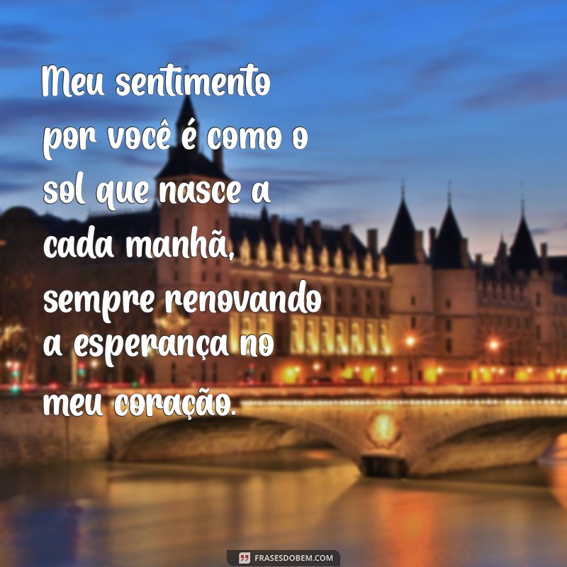 meu sentimento por você Meu sentimento por você é como o sol que nasce a cada manhã, sempre renovando a esperança no meu coração.