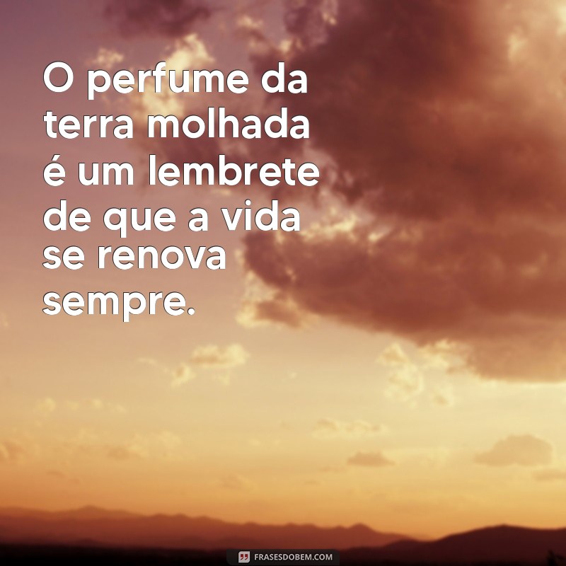 As Melhores Frases para Inspirar sua Trilha: Motivação e Reflexão na Natureza 