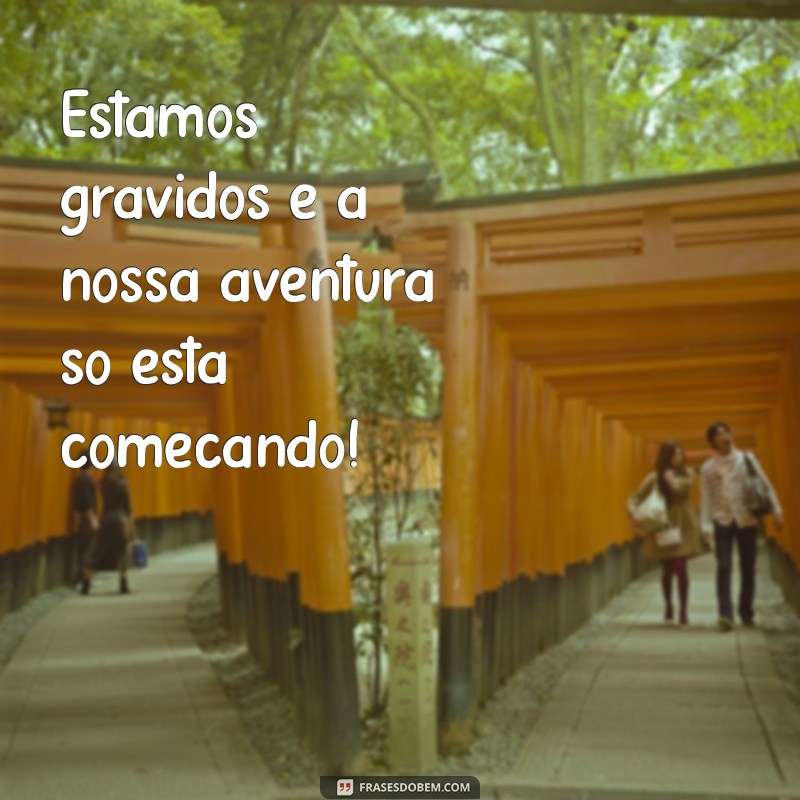 estamos gravidos frases Estamos grávidos e a nossa aventura só está começando!