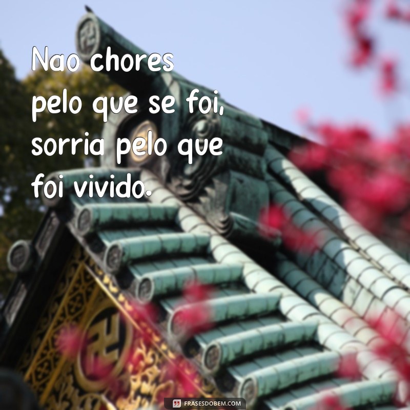 frases para colocar em placa de tumulo Não chores pelo que se foi, sorria pelo que foi vivido.