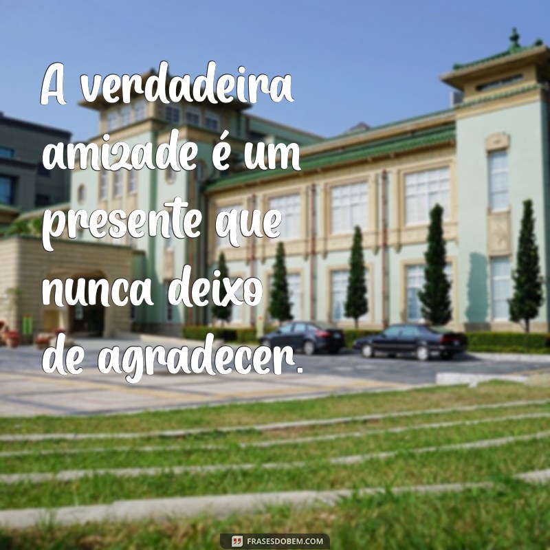 agradecimento de amizade verdadeira A verdadeira amizade é um presente que nunca deixo de agradecer.