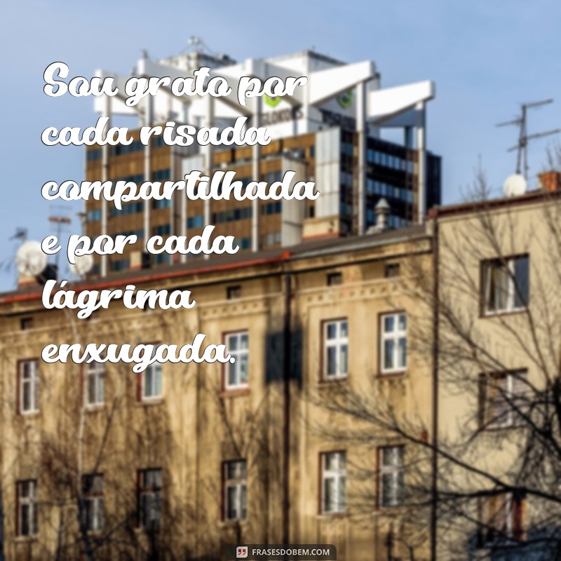 26 Frases Inspiradoras para Agradecer uma Amizade Verdadeira 