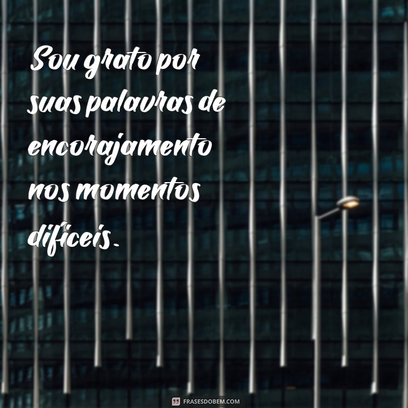 26 Frases Inspiradoras para Agradecer uma Amizade Verdadeira 