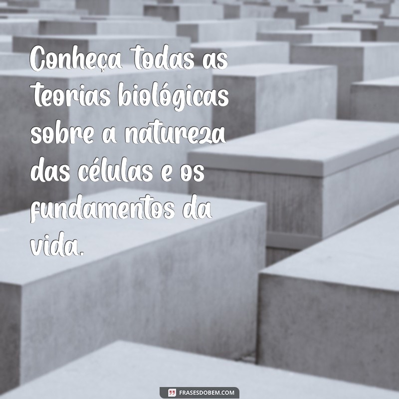 Descubra Todas as Teorias: Um Guia Completo para Entender Conceitos Fundamentais 