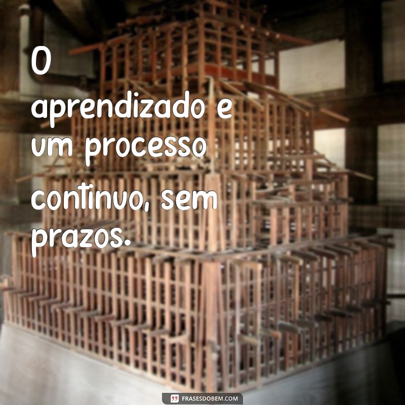 Aprendizado Contínuo: Como Crescer e Evoluir Todos os Dias 