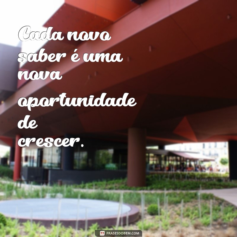 Inspire-se com as Melhores Frases de Cora Coralina sobre Educação 