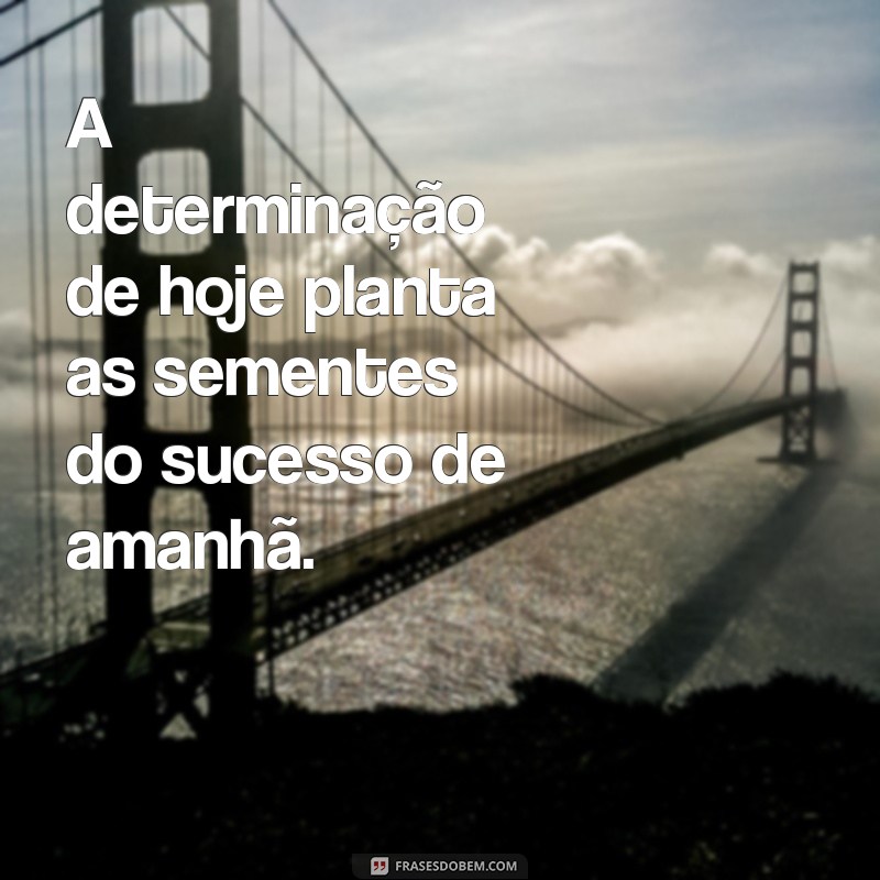 Frases Inspiradoras do Dia para Nascidos Sob o Signo de Touro 