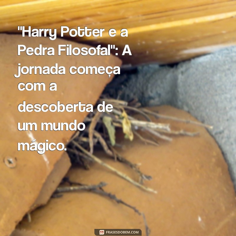 melhor livro de harry potter 