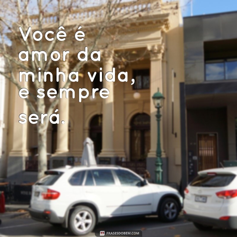 Você é o Amor da Minha Vida: Como Expressar Seus Sentimentos de Forma Inesquecível 