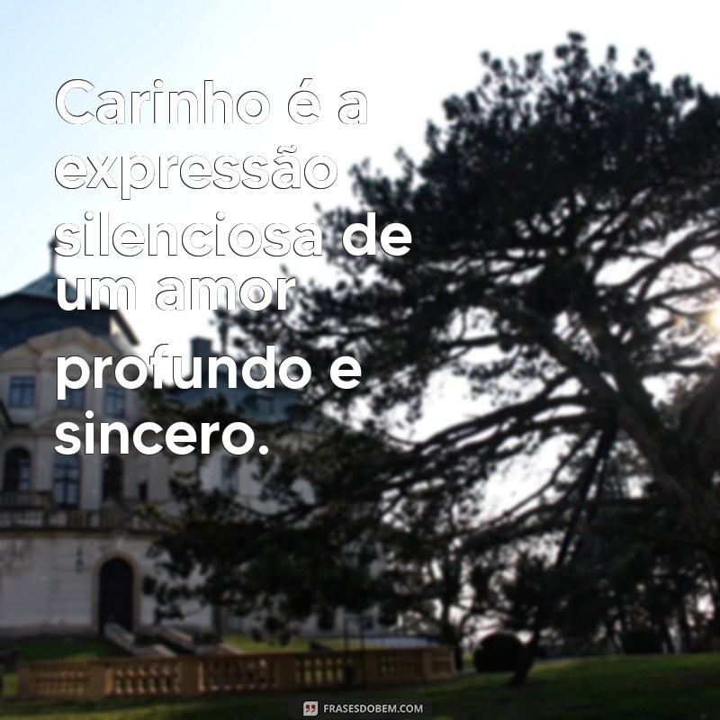 o que é carinho Carinho é a expressão silenciosa de um amor profundo e sincero.