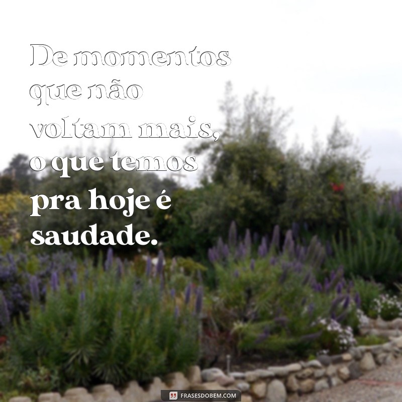 Descubra as melhores frases sobre saudade para expressar seus sentimentos 