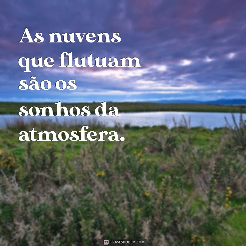 Descubra as Plantas Nativas da Sua Região: Guia Completo para Encontrar o que é Natural da Terra Perto de Você 