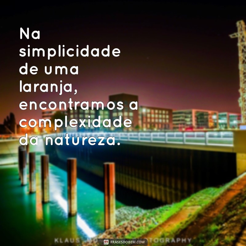 Frases Inspiradoras com Laranja: Cores que Transformam Palavras 