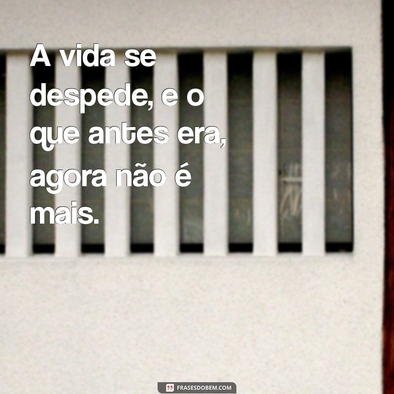 Superando a Perda: Como Lidar com o Fim de um Ciclo 