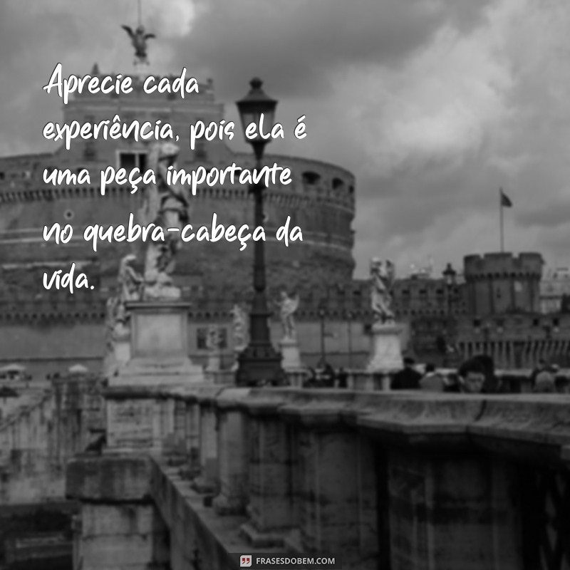 Descubra as melhores frases sobre experiência de vida para se inspirar 