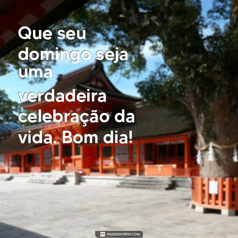 28 Frases Inspiradoras para um Bom Dia e um Ótimo Domingo 