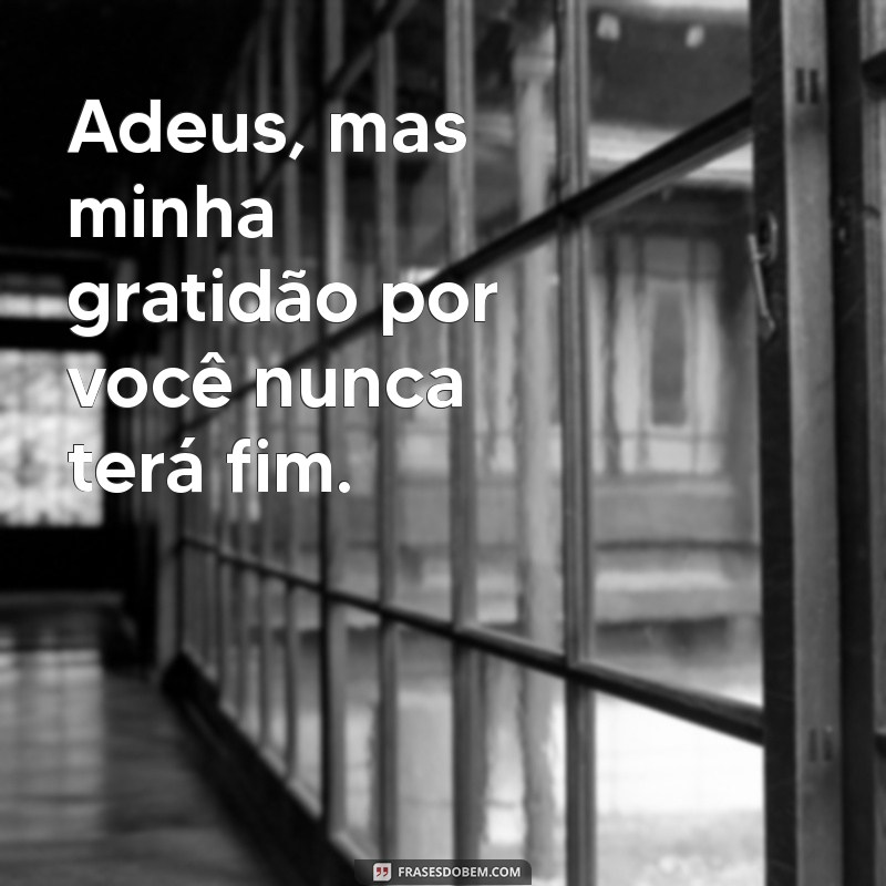 Frases de Adeus: Mensagens Tocantes para Despedidas Inesquecíveis 