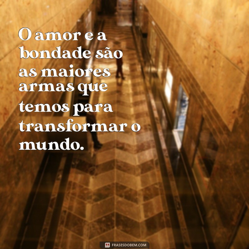 Conheça as melhores frases inspiradoras de Samer Agi para mudar sua vida! 