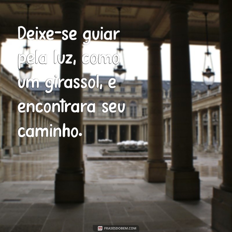 Descubra o Significado do Girassol: Frases Inspiradoras e Reflexões 