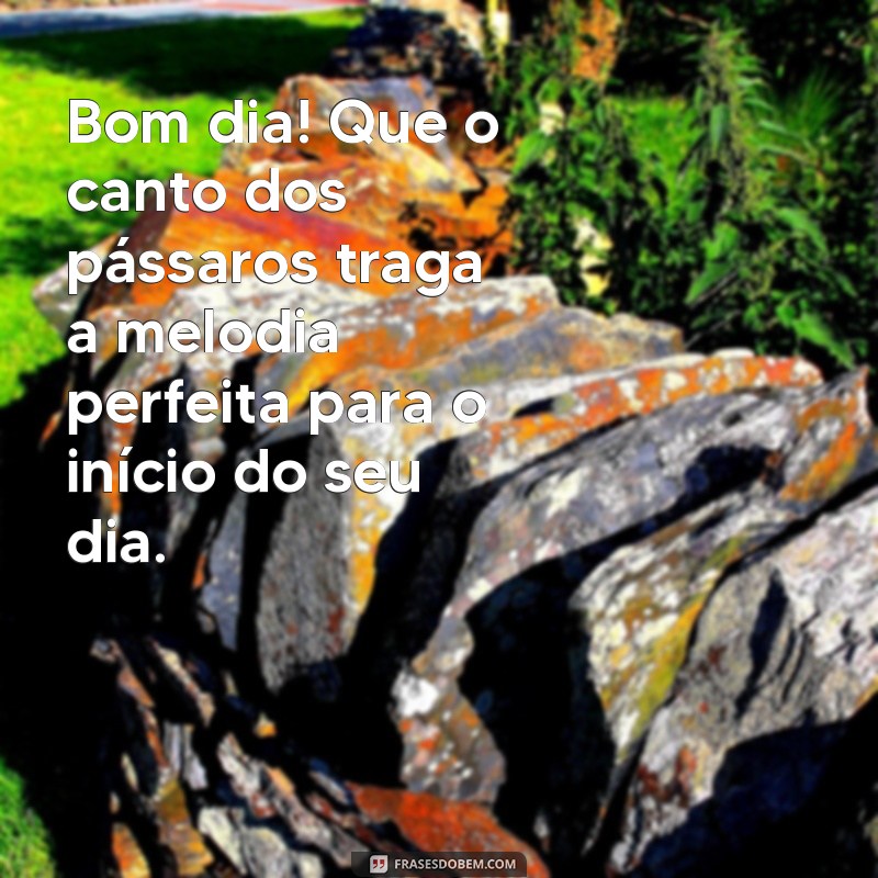 mensagem de bom dia com pássaros Bom dia! Que o canto dos pássaros traga a melodia perfeita para o início do seu dia.