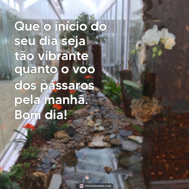 Mensagens de Bom Dia: Inspirações com Pássaros para Começar o Dia com Alegria 