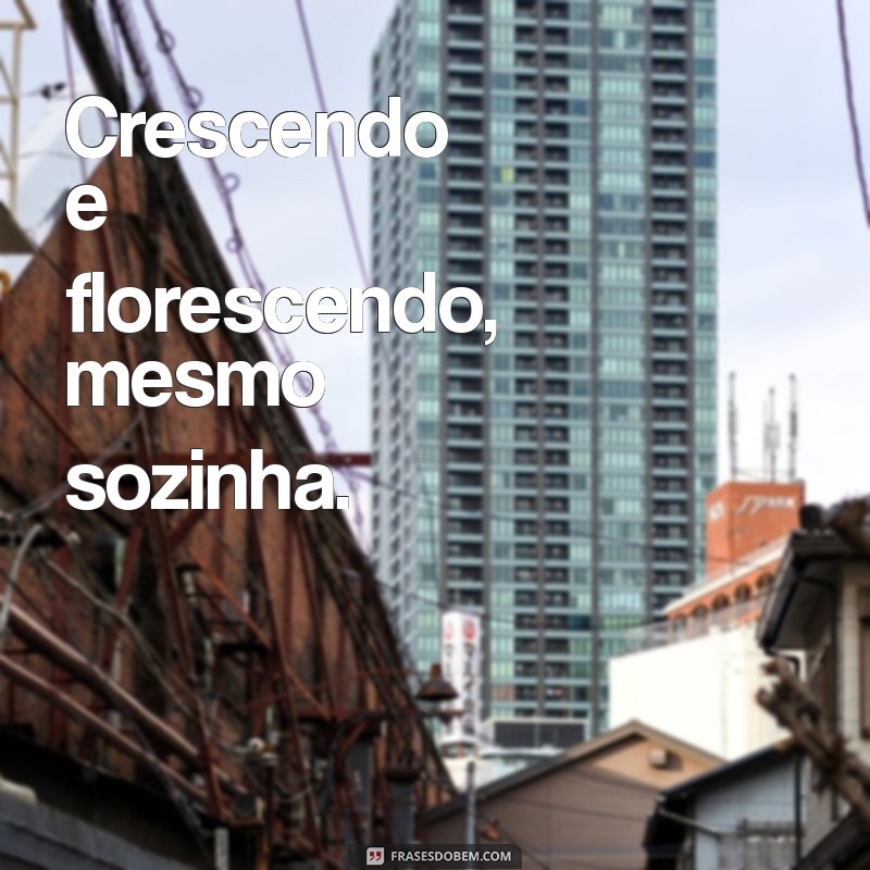 Frases Impactantes para Fotos Sozinha no WhatsApp: Inspire-se! 