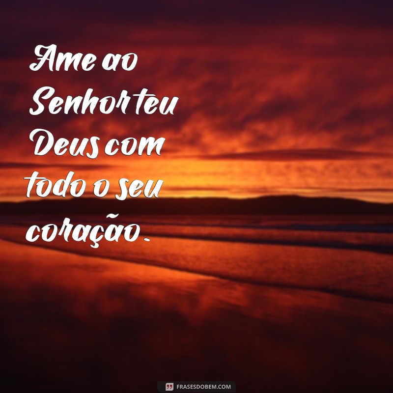 ame ao senhor teu deus Ame ao Senhor teu Deus com todo o seu coração.