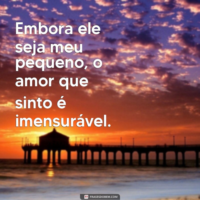 Frases Inspiradoras para Mães de Meninos: Amor e Aventura em Palavras 