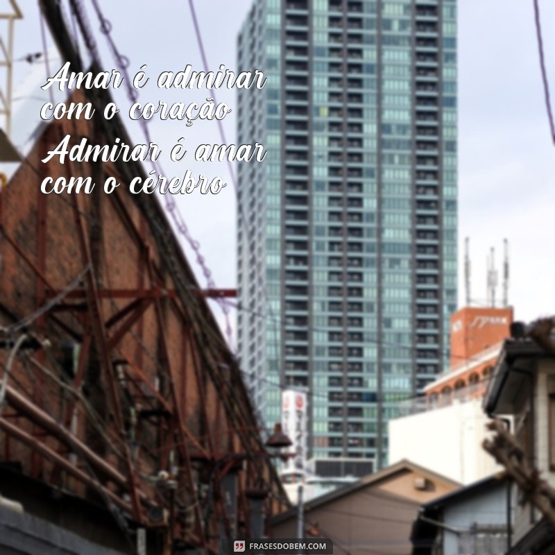 Descubra a poesia em frases curtas de Carlos Drummond de Andrade 