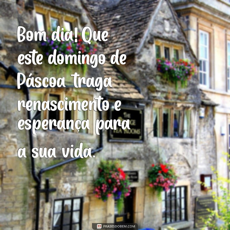 mensagem de bom dia para domingo de páscoa Bom dia! Que este domingo de Páscoa traga renascimento e esperança para a sua vida.