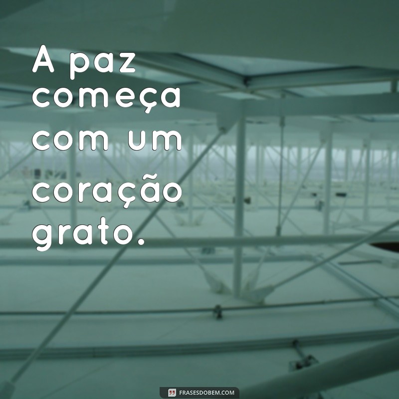 Frases que Acalmam o Coração: Mensagens para Encontrar Paz Interior 