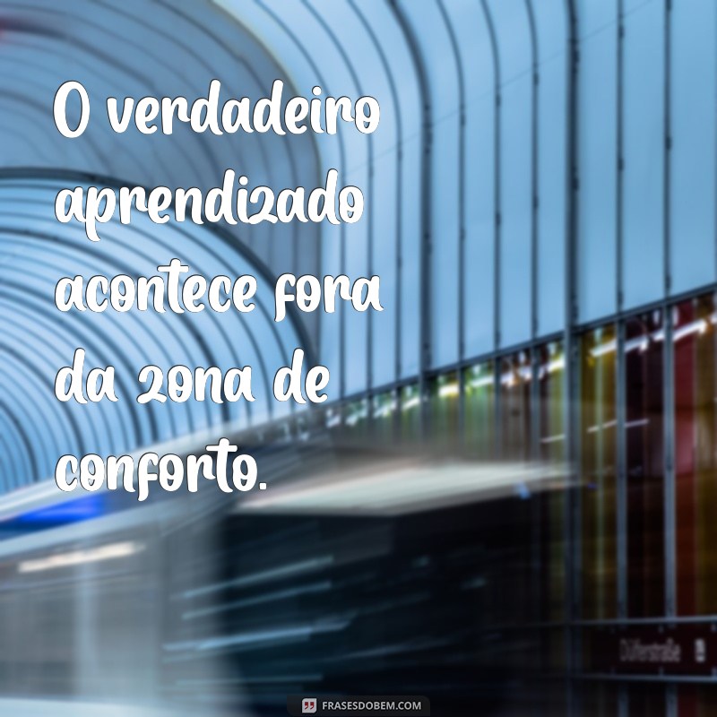 Frases Inspiradoras de Coruja: Sabedoria Noturna e Reflexões Profundas 