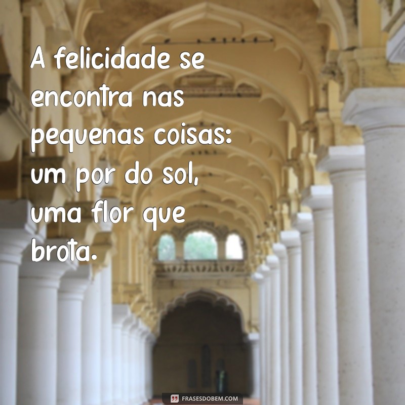 Frases Inspiradoras sobre Fazenda: Celebre a Vida no Campo 