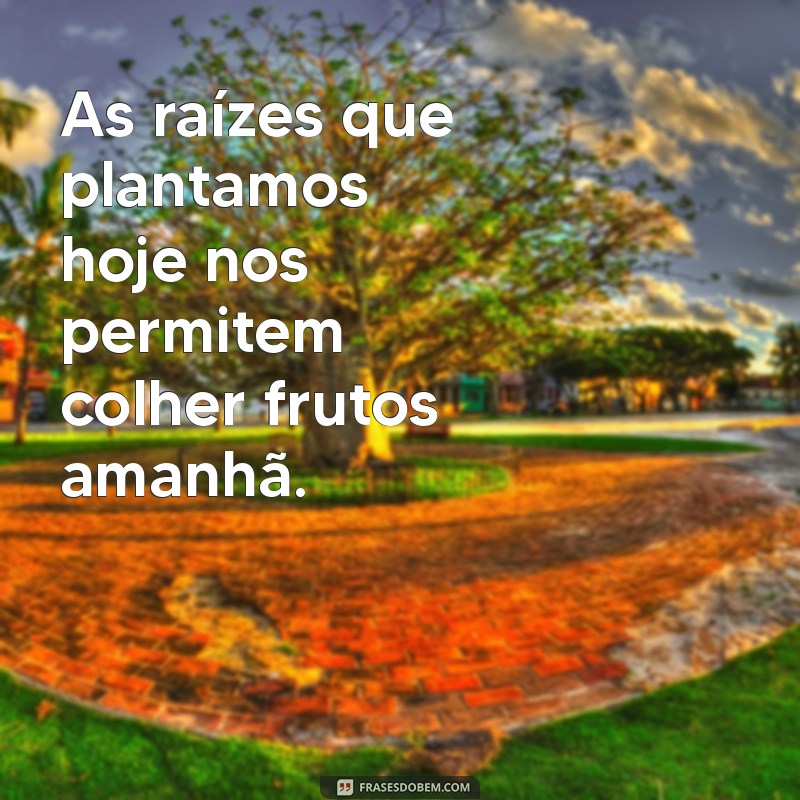 Frases Inspiradoras sobre Fazenda: Celebre a Vida no Campo 