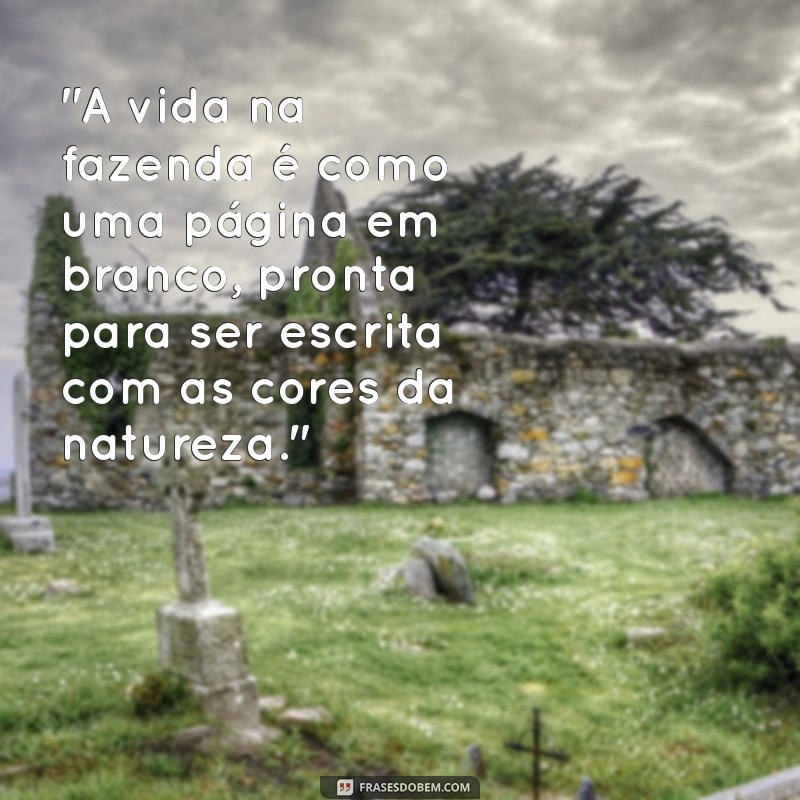 frases fazenda 