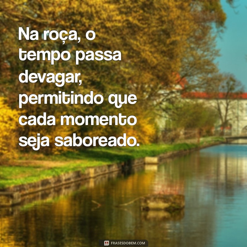 Frases Inspiradoras sobre Fazenda: Celebre a Vida no Campo 