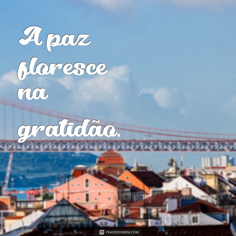 Frases Curtas sobre Paz: Inspirações para um Mundo Mais Tranquilo 