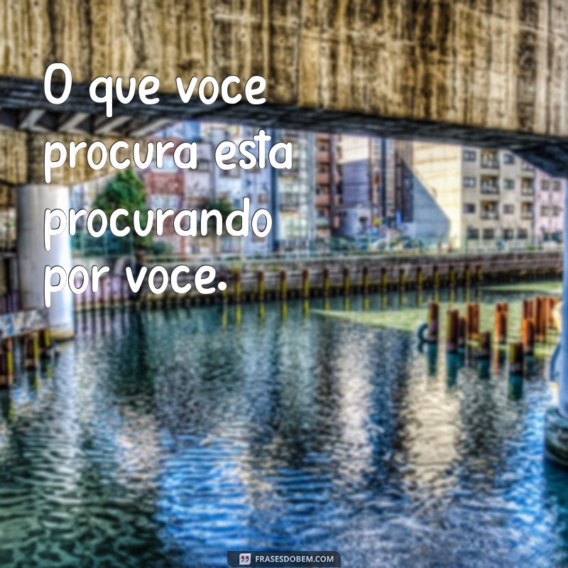 As Melhores Frases para Legendar Suas Fotos no Instagram 