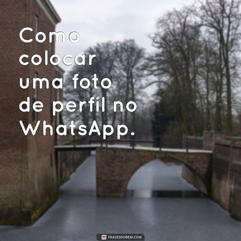 como colocar no whatsapp Como colocar uma foto de perfil no WhatsApp.