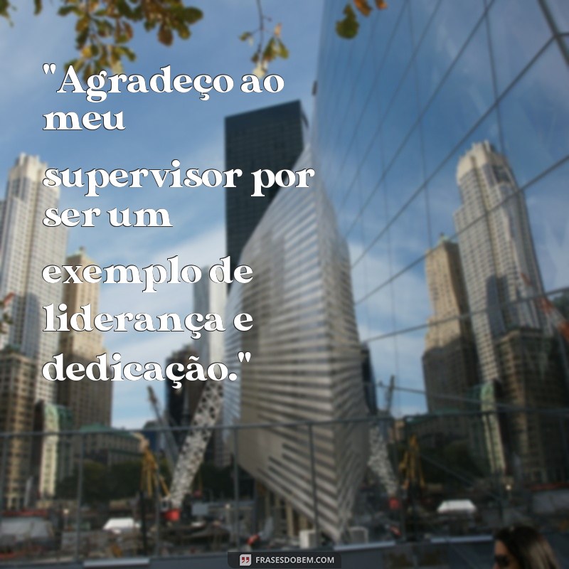 frases de homenagem para supervisor 