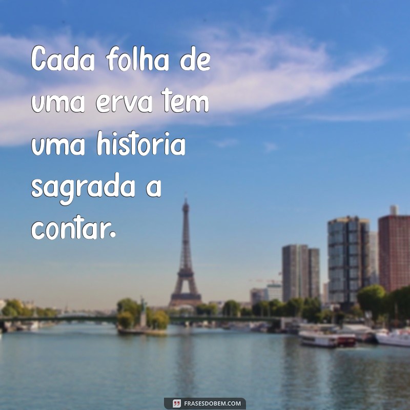 Frases Inspiradoras do Candomblé: Sabedoria e Espiritualidade em Palavras 