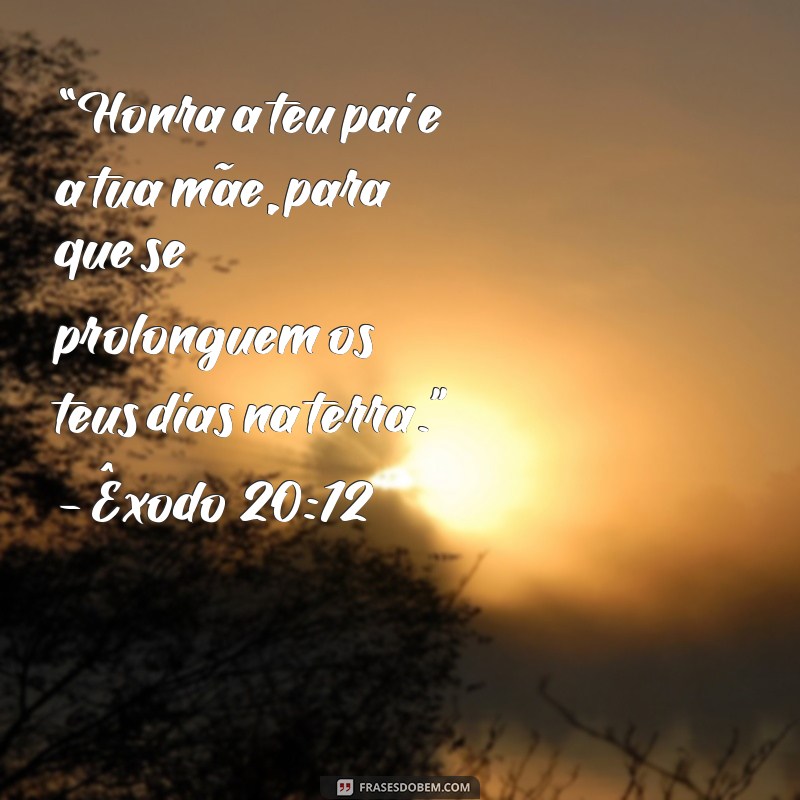 mensagem da bíblia para o dia dos pais “Honra a teu pai e a tua mãe, para que se prolonguem os teus dias na terra.” - Êxodo 20:12